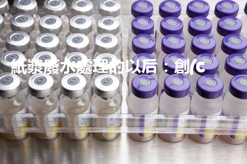 紙漿廢水處理的以后：創(chuàng)新技術(shù)與生態(tài)平衡？
